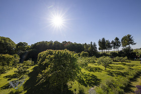Fête des roses château du Rivau