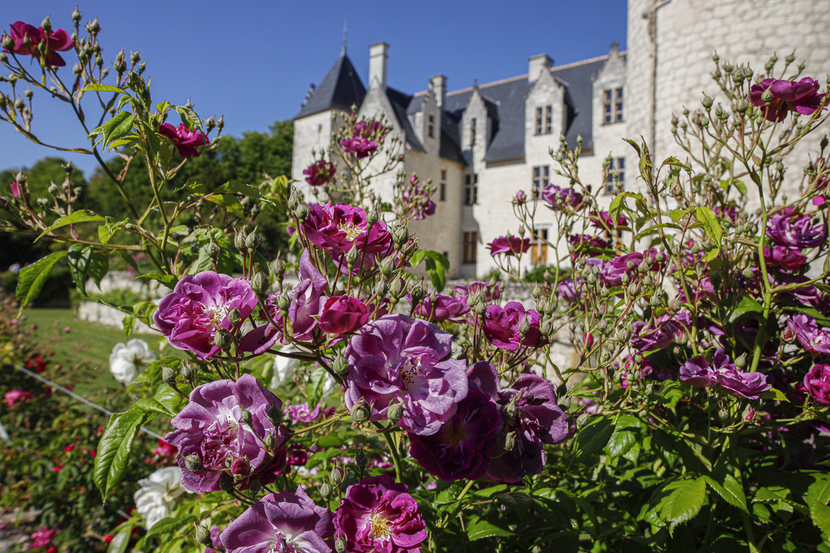 Fête des roses château du Rivau