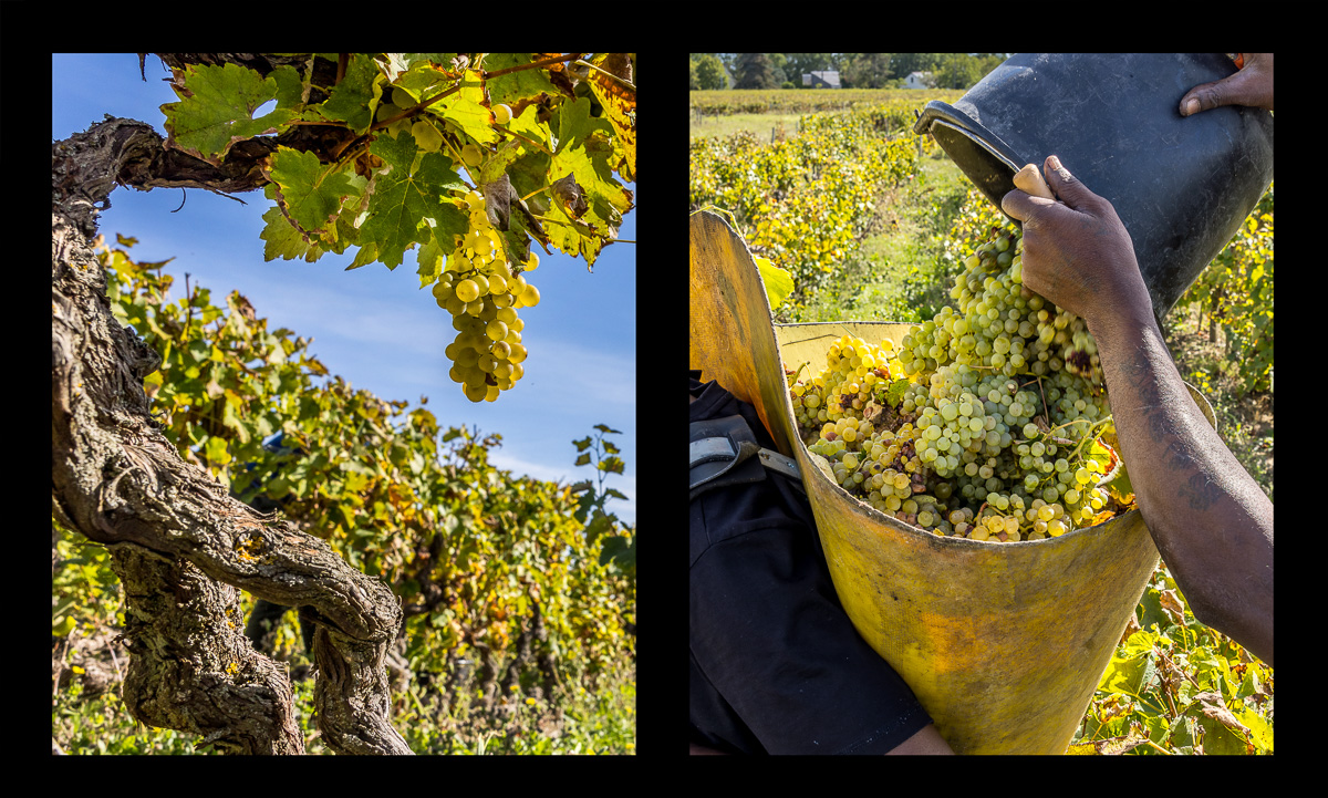 montage dyptique_75_04_web.jpg