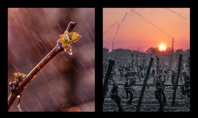 montage dyptique_75_15_web.jpg