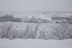 neige en Touraine