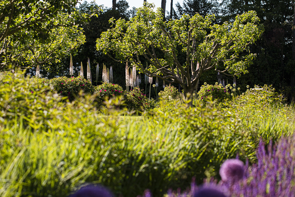 Fête des roses château du Rivau