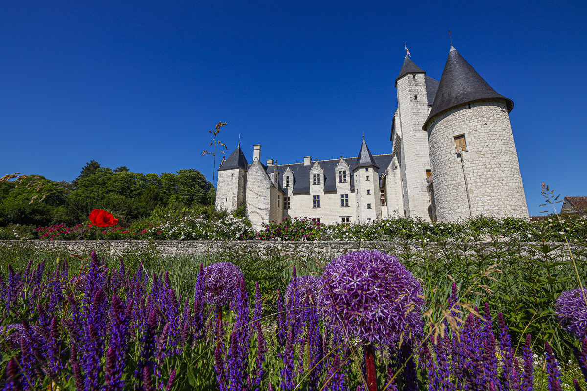 Fête des roses château du Rivau