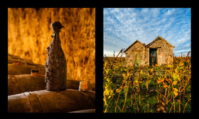 montage dyptique_75_10_web.jpg