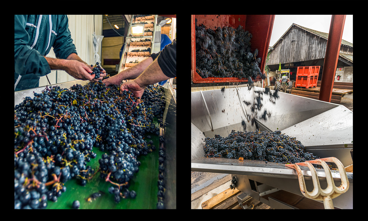 montage dyptique_75_11_web.jpg