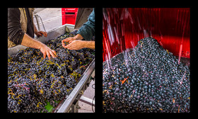 montage dyptique_75_07_web.jpg