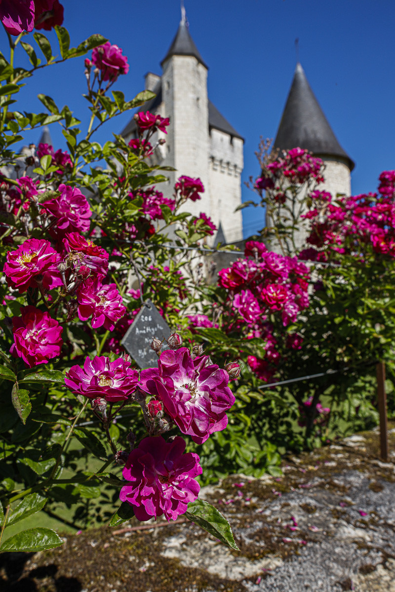 Fête des roses château du Rivau