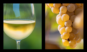 montage dyptique_75_17_web.jpg