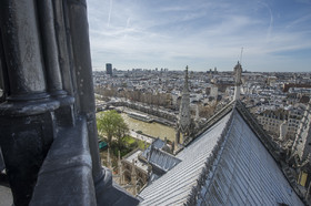 Cathédrale Notre Dame de Paris