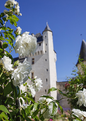 Fête des roses château du Rivau