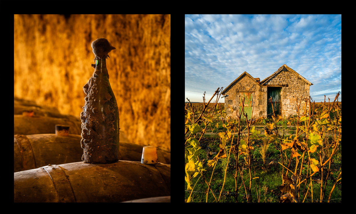 montage dyptique_75_10_web.jpg