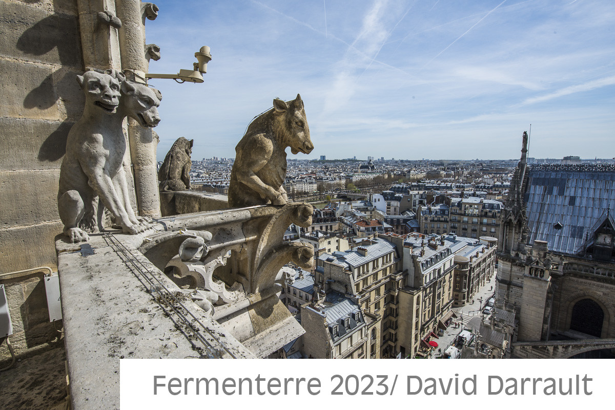 Cathédrale Notre Dame de Paris