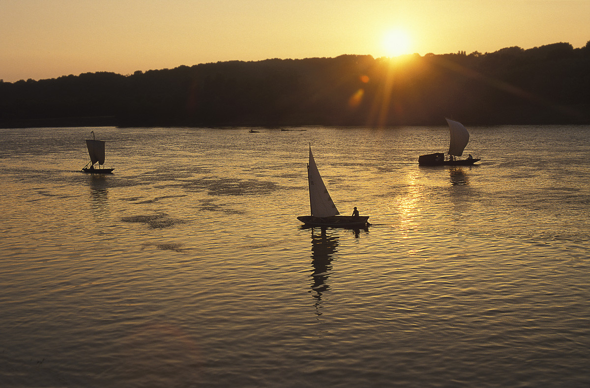 Loire à Bréhémont.jpg