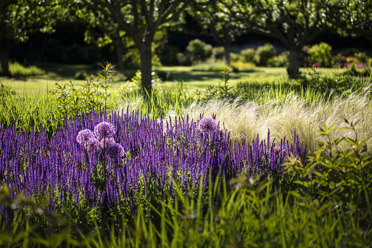 Fête des roses château du Rivau