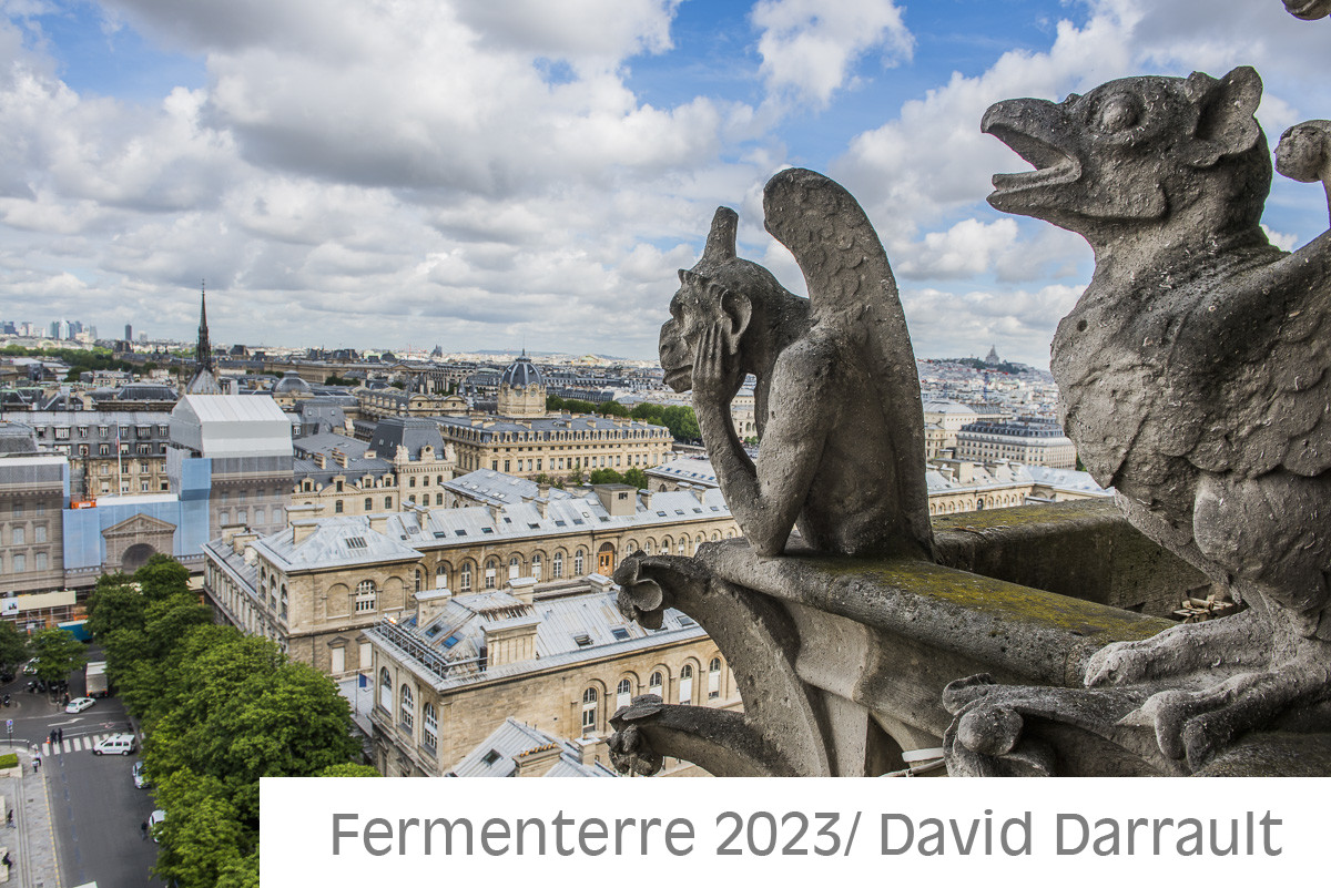Cathédrale Notre Dame de Paris