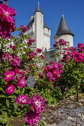 Fête des roses château du Rivau