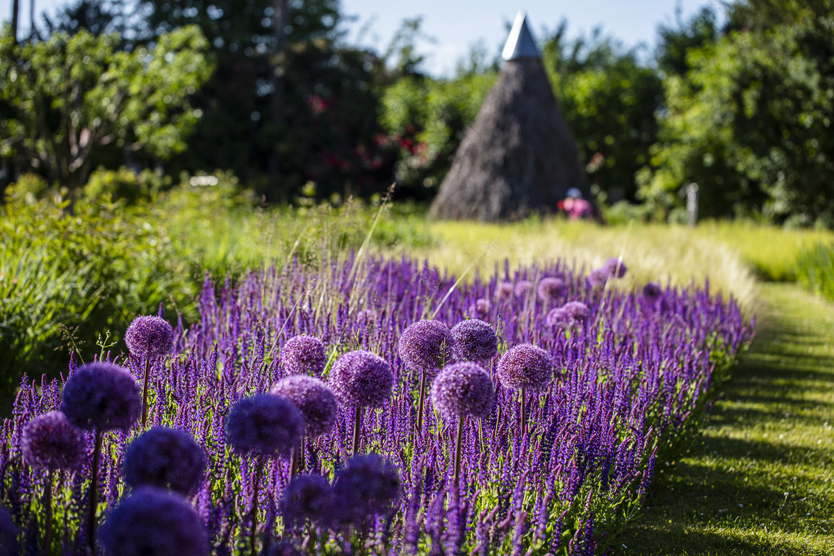 Fête des roses château du Rivau