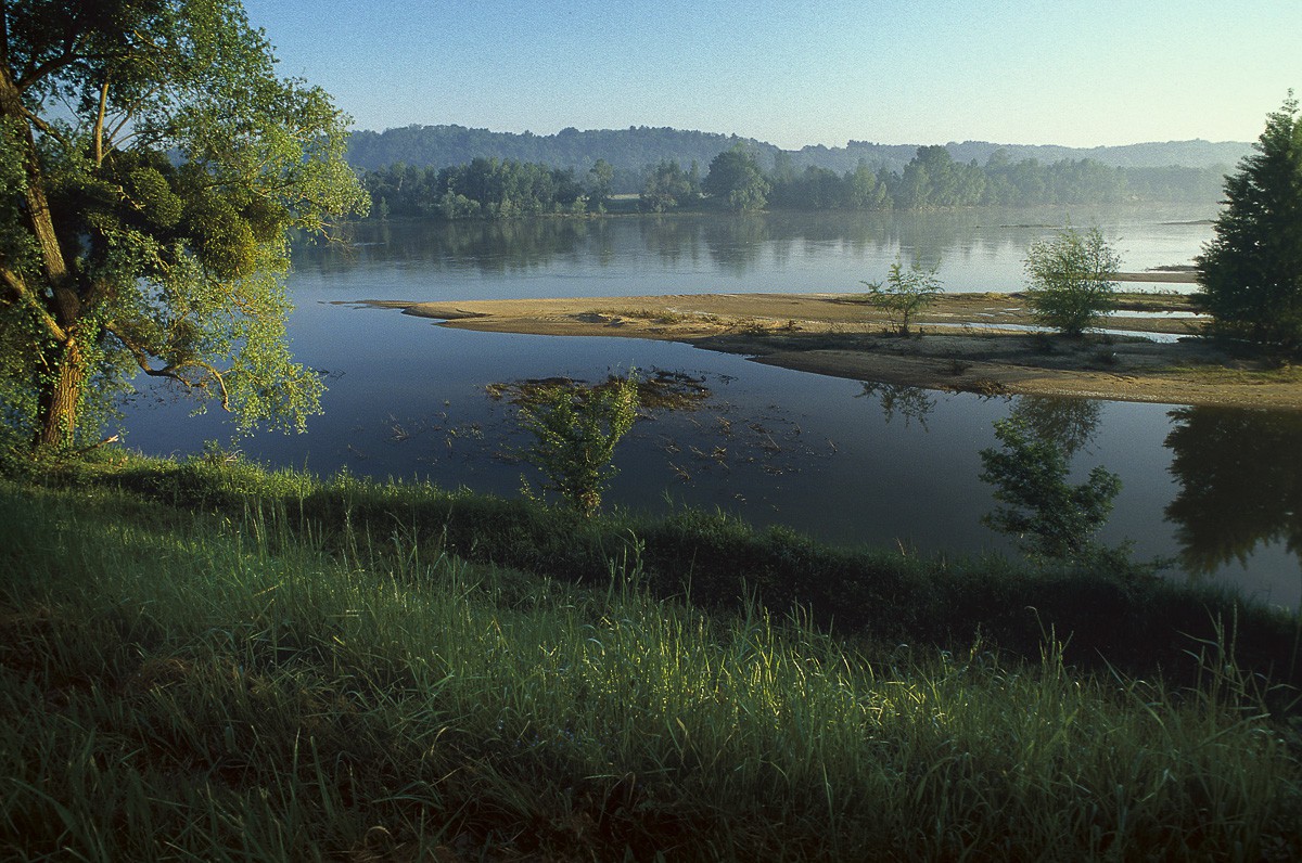 Loire vers Cinq Mars La Pile