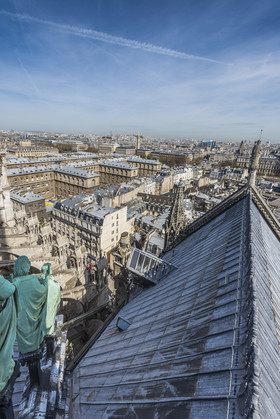 Cathédrale Notre Dame de Paris
