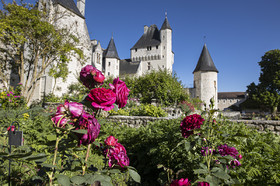 Fête des roses château du Rivau