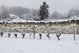 neige en Touraine