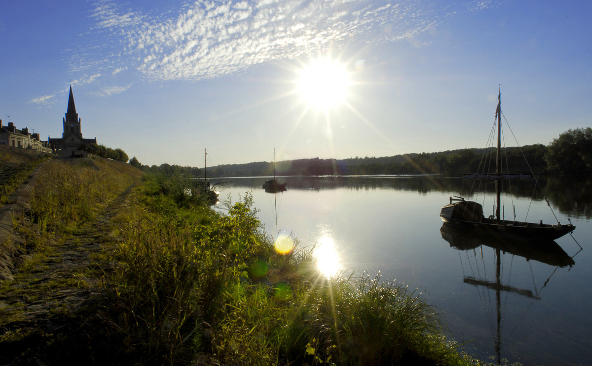 Loire à Bréhémont 37