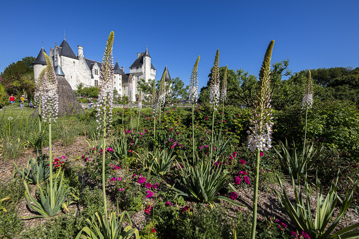 Fête des roses château du Rivau