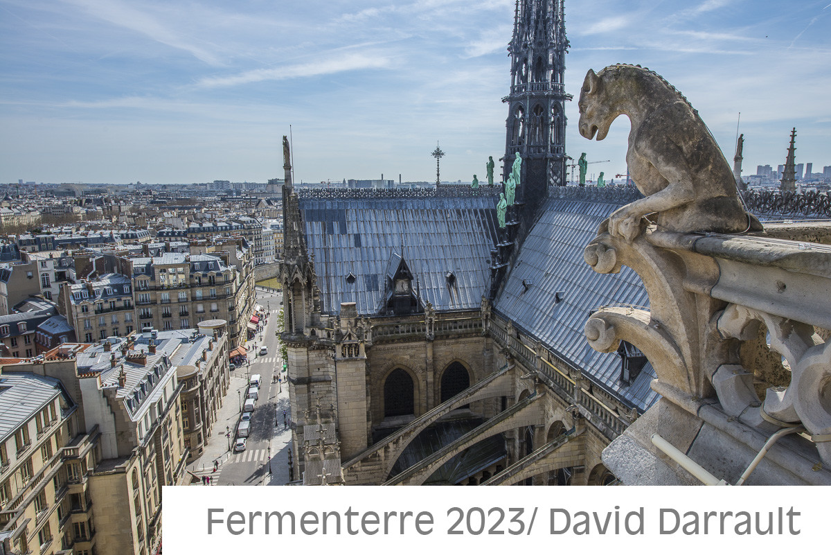 Cathédrale Notre Dame de Paris