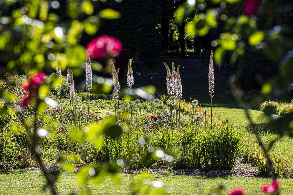 Fête des roses château du Rivau