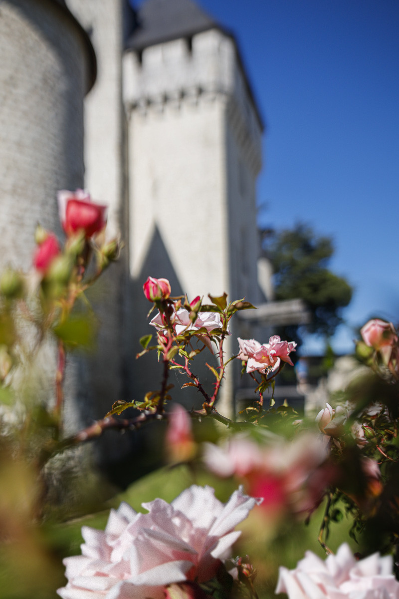 Fête des roses château du Rivau
