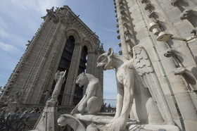 Cathédrale Notre Dame de Paris