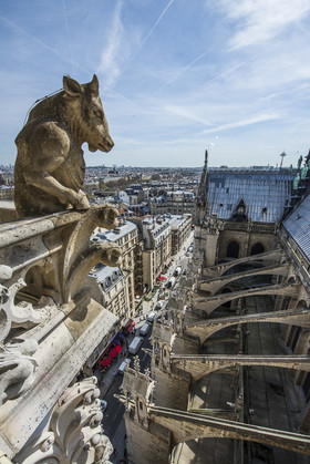 Cathédrale Notre Dame de Paris