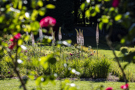 Fête des roses château du Rivau