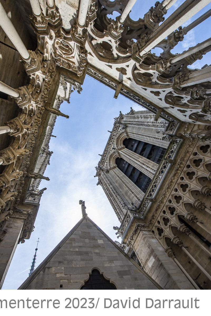 Cathédrale Notre Dame de Paris